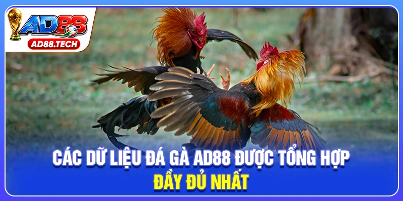 Các dữ liệu đá gà AD88 được tổng hợp đầy đủ nhất
