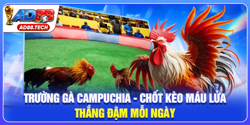 Trường Gà Campuchia